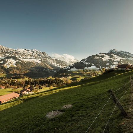 Chalet Bergwelt Frutigen Exteriör bild